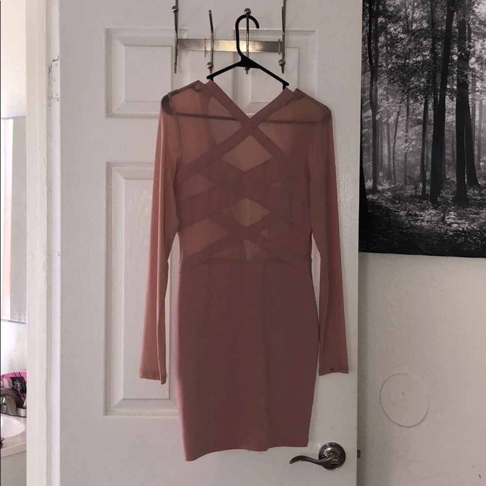 LONG SLEEVE AND SHEER ROSE PINK DRESS